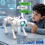 Robot cane telecomandato JJR/C R42 con acrobazie 360°