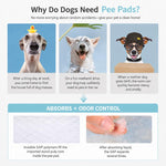 Tappetino assorbente deodorante 10 in 1 per urina di animali domestici, 60 x 60cm, 60 x 90cm