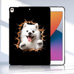 Custodia per tablet in TPU con motivo a colori, For iPad 10.2 2021 / 2020 / Air 10.5 2019, For iPad mini 5 / 4