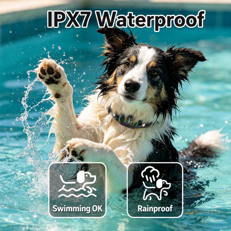 Collare antiabbaio intelligente con intelligenza artificiale per l'addestramento dei cani, PD216