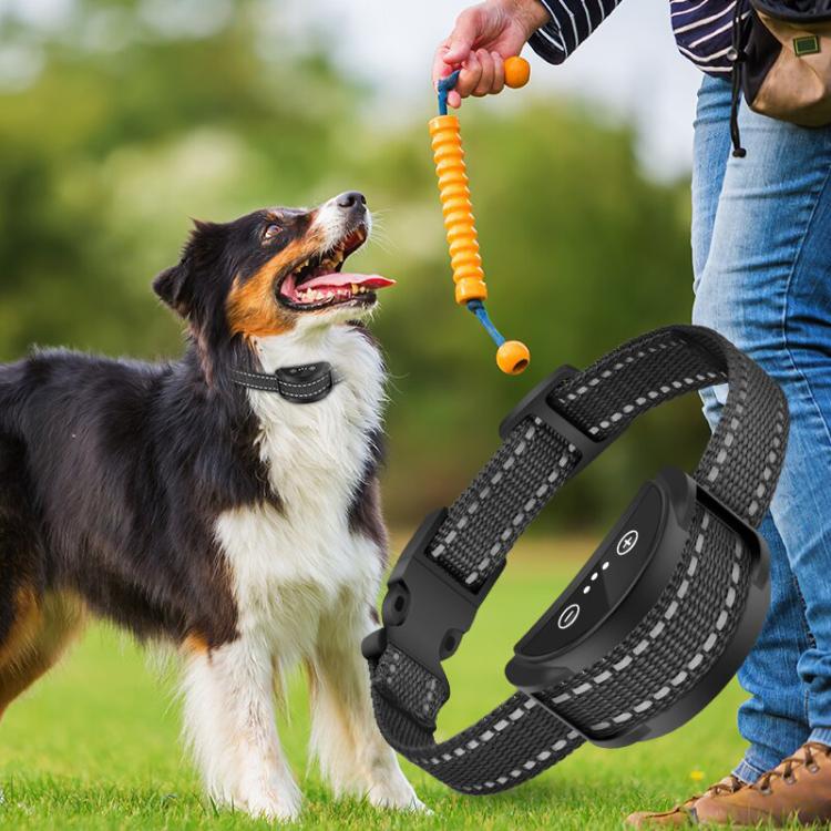 Collare per addestramento cani antiabbaio automatico PaiPaitek PD258B, PD258B