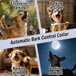 Collare antiabbaio automatico ricaricabile tramite USB PaiPaitek PD259B per addestramento cani., PD259B