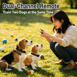 Collare antiabbaio per addestramento cani PaiPaitek PD520S con telecomando., PD520S-1, PD520S-2