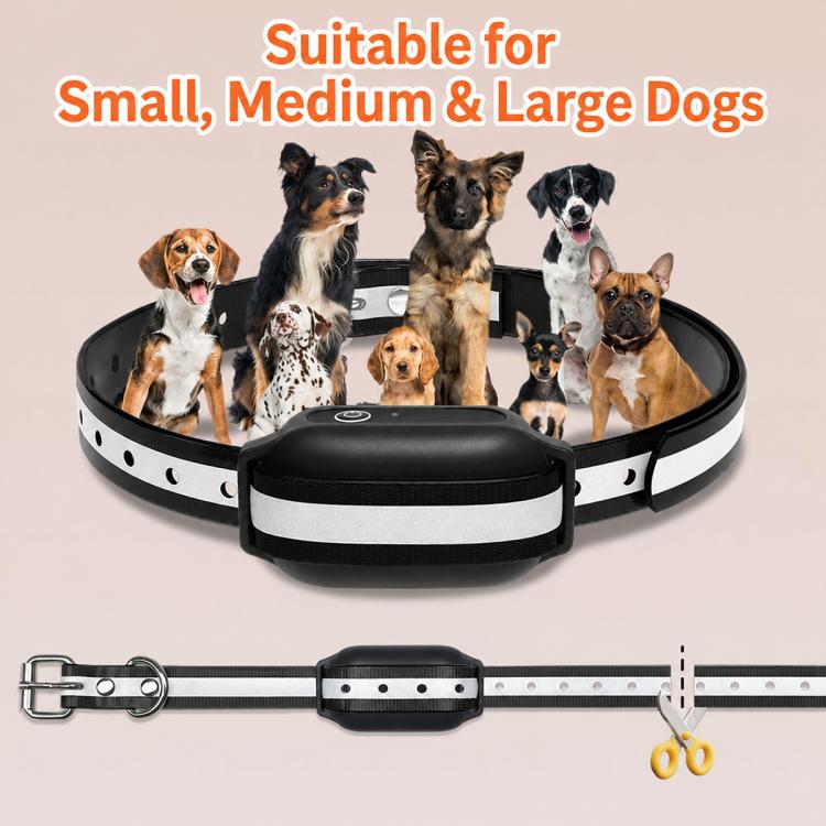Collare antiabbaio per cani PaiPaitek PD516U-1 con telecomando a ultrasuoni., PD516U-1