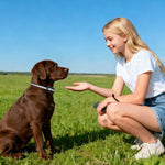 Collare antiabbaio per cani PaiPaitek PD516U-1 con telecomando a ultrasuoni., PD516U-1