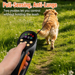 Guinzaglio intelligente anti-strattoni PaiPaitek PD810, dispositivo di addestramento per animali domestici, collare anti-abbaio, PD810