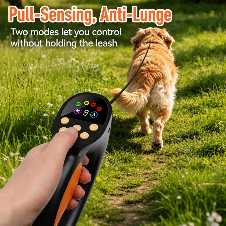 Guinzaglio intelligente anti-strattoni PaiPaitek PD810, dispositivo di addestramento per animali domestici, collare anti-abbaio, PD810