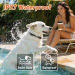 Guinzaglio intelligente anti-strattoni PaiPaitek PD810, dispositivo di addestramento per animali domestici, collare anti-abbaio, PD810