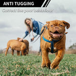 Collare elettronico per addestramento cani PaiPaitek PD800 con funzioni anti-strattoni e anti-abbaio., PD800