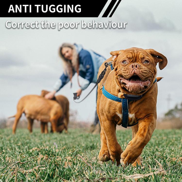 Collare elettronico per addestramento cani PaiPaitek PD800 con funzioni anti-strattoni e anti-abbaio., PD800