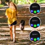 Collare elettronico per addestramento cani PaiPaitek PD800 con funzioni anti-strattoni e anti-abbaio., PD800