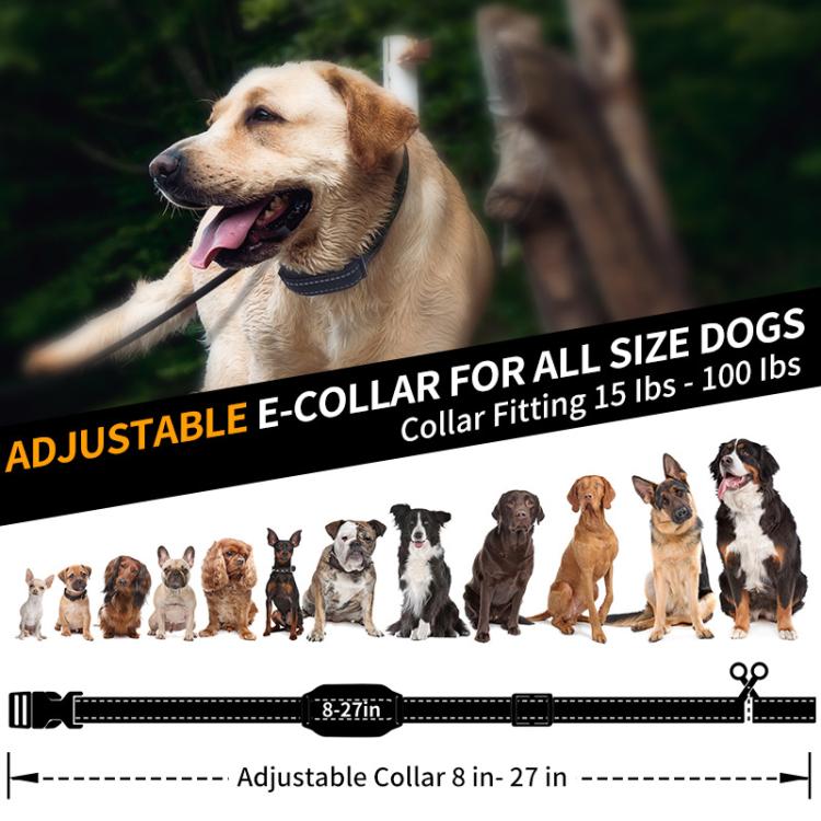 Collare elettronico per addestramento cani PaiPaitek PD800 con funzioni anti-strattoni e anti-abbaio., PD800