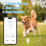 Collare anti-smarrimento con localizzatore GPS intelligente per animali domestici PaiPaitek PD68, EU / Asia Version, US Version