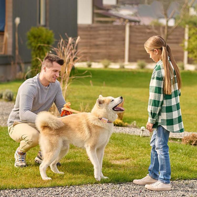 Collare anti-smarrimento con localizzatore GPS intelligente per animali domestici PaiPaitek PD68, EU / Asia Version, US Version