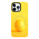 Custodia ibrida in PC e TPU con doppio magnete rimovibile per iPhone 13 Pro Max