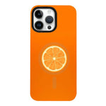 Custodia ibrida in PC e TPU con doppio magnete rimovibile per iPhone 13 Pro Max