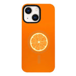 Custodia ibrida in PC e TPU con doppio magnete rimovibile per iPhone 13 Pro Max