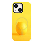 Custodia ibrida in PC e TPU con doppio magnete per iPhone 14 e 15