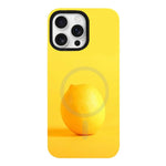 Custodia per telefono ibrida in PC e TPU con doppio magnete rimovibile., For iPhone 17 Pro Max, For iPhone 17 Pro, For iPhone 17, For iPhone Air, For iPhone 16 Pro Max, For iPhone 16 Pro, For iPhone 16 Plus, For iPhone 16