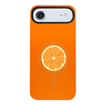 Custodia per telefono ibrida in PC e TPU con doppio magnete rimovibile., For iPhone 17 Pro Max, For iPhone 17 Pro, For iPhone 17, For iPhone Air, For iPhone 16 Pro Max, For iPhone 16 Pro, For iPhone 16 Plus, For iPhone 16