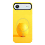 Custodia per telefono ibrida in PC e TPU con doppio magnete rimovibile., For iPhone 17 Pro Max, For iPhone 17 Pro, For iPhone 17, For iPhone Air, For iPhone 16 Pro Max, For iPhone 16 Pro, For iPhone 16 Plus, For iPhone 16