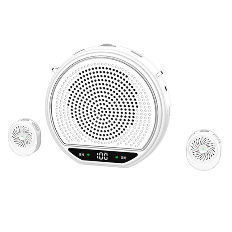 M28 Microfono lavalier portatile wireless da 2,5 pollici con doppio microfono e amplificatore vocale per l'insegnamento., M28
