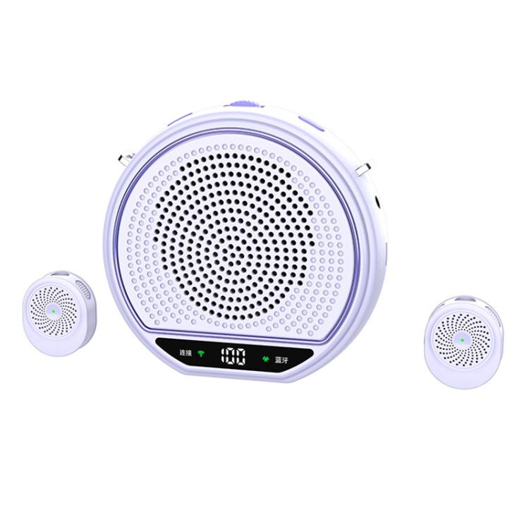M28 Microfono lavalier portatile wireless da 2,5 pollici con doppio microfono e amplificatore vocale per l'insegnamento., M28