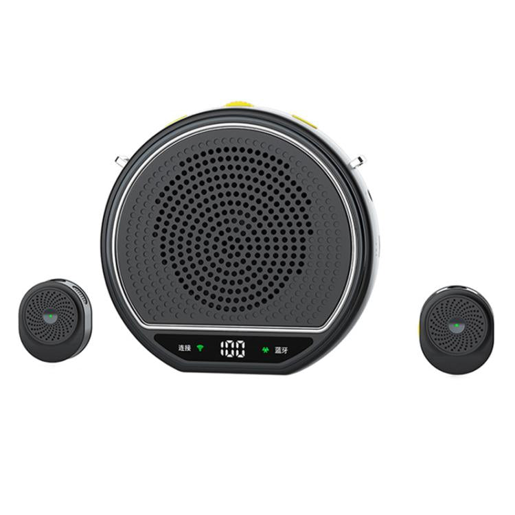 M28 Microfono lavalier portatile wireless da 2,5 pollici con doppio microfono e amplificatore vocale per l'insegnamento., M28