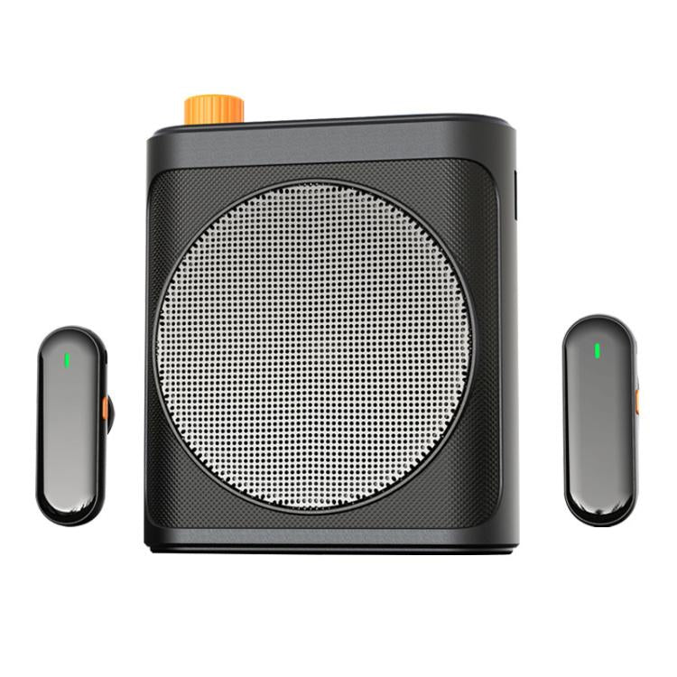 M29 Microfono lavalier portatile wireless a doppio microfono, amplificatore vocale per l'insegnamento., M29