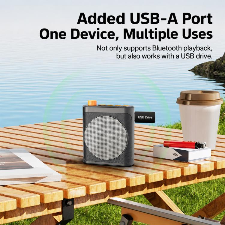 M29 Microfono lavalier portatile wireless a doppio microfono, amplificatore vocale per l'insegnamento., M29
