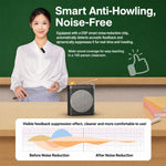 M29 Microfono lavalier portatile wireless a doppio microfono, amplificatore vocale per l'insegnamento., M29