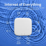 Gateway wireless multimodale Tuya per la casa intelligente