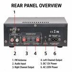 AK45 Pro Amplificatore audio digitale Bluetooth stereo ad alta potenza a 2 canali, EU Plug, UK Plug