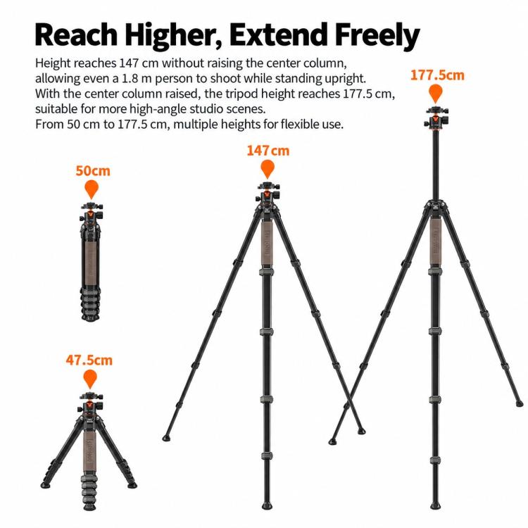 TRIOPO Heracles 405 + X2 Tripod with Ball Head for Photography and Video Shooting, Heracles 405 + X2