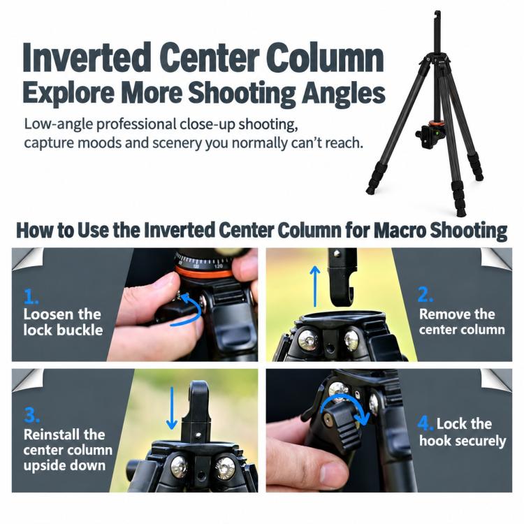 TRIOPO TS-254X+X2 Carbon Fiber Tripod with Ball Head for Photography and Video Shooting, TS-254X+X2