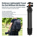 TRIOPO TS-254X+X2 Carbon Fiber Tripod with Ball Head for Photography and Video Shooting, TS-254X+X2