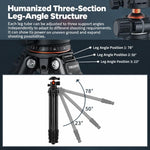 TRIOPO TS-254X+X2 Carbon Fiber Tripod with Ball Head for Photography and Video Shooting, TS-254X+X2