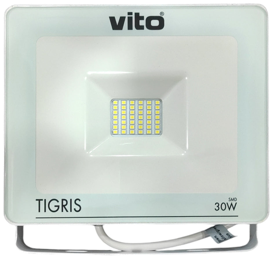 Faretto LED SMD da esterno 30W 6000k luce fredda 6000K 6970233831709 3020760 EL040