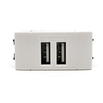 Alimentatore doppia presa USB 5V 2A Bianco compatibile Living International 6970597462854 821B/Int-Lgt EL2124