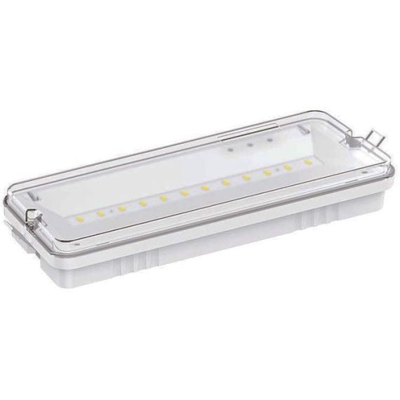 Lampada LED d'emergenza 2W 6500K luce fredda