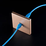 Modulo di rete pass-through schermato CAT.6, pannello a doppia porta + pass-through schermato + presa telefonica, Dual Ports Panel+Shielded Pass-through+Telephone Socket