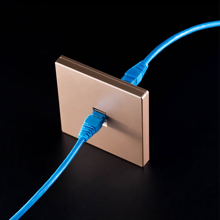 Modulo di rete pass-through schermato CAT.6, pannello a doppia porta + pass-through schermato, Dual Ports Panel+Shielded Pass-through