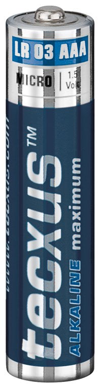 Batteria al manganese alcalino 1,5V LR03/AAA 23631 4250145110072 F1424