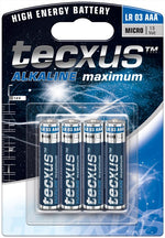 Batteria al manganese alcalino 1,5V LR03/AAA