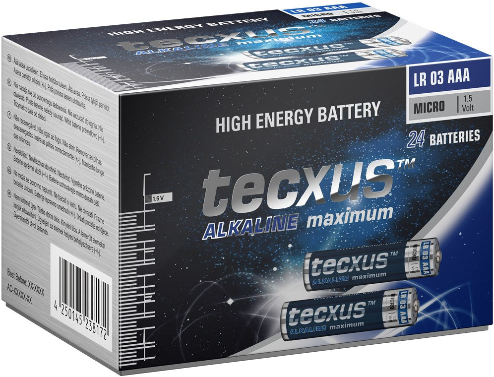 Batteria al manganese alcalino LR03/AAA (Micro) 1.5V confezione da 24  Tecxus
