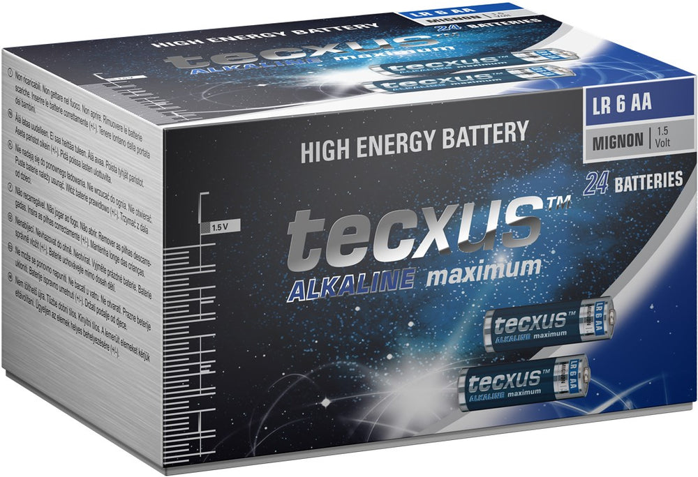 Batteria al manganese alcalino LR6/AA 12V confezione da 24  Tecxus