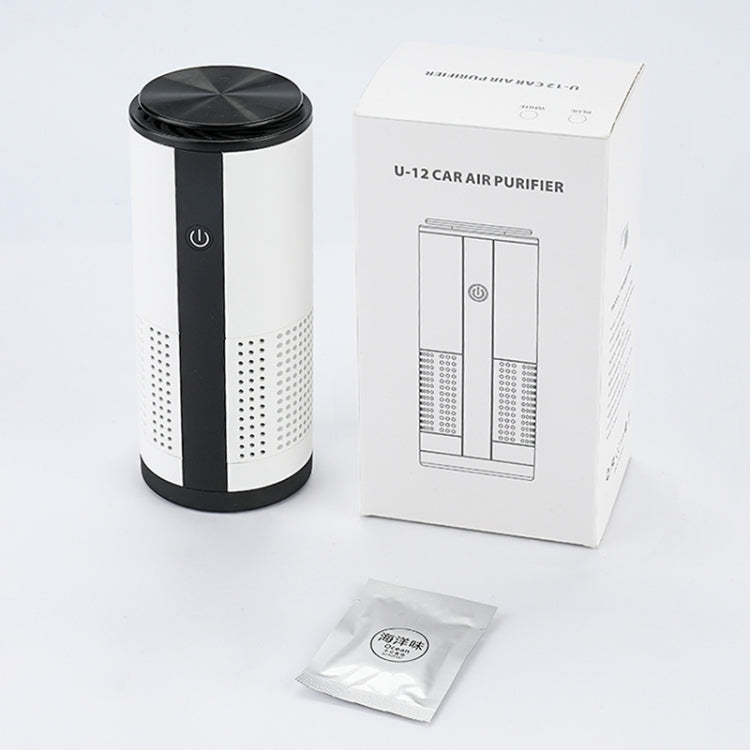Purificatore d'aria per auto intelligente con ioni negativi DC 5V WT-U12
