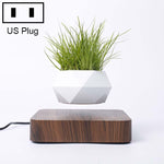 Vaso da fiori in plastica con diamante + Base con venature del legno scuro Decorazione per la casa con pianta in vaso a levitazione magnetica, spina americana, Dark Wood Grain US Plug, Light Wood Grain US Plug