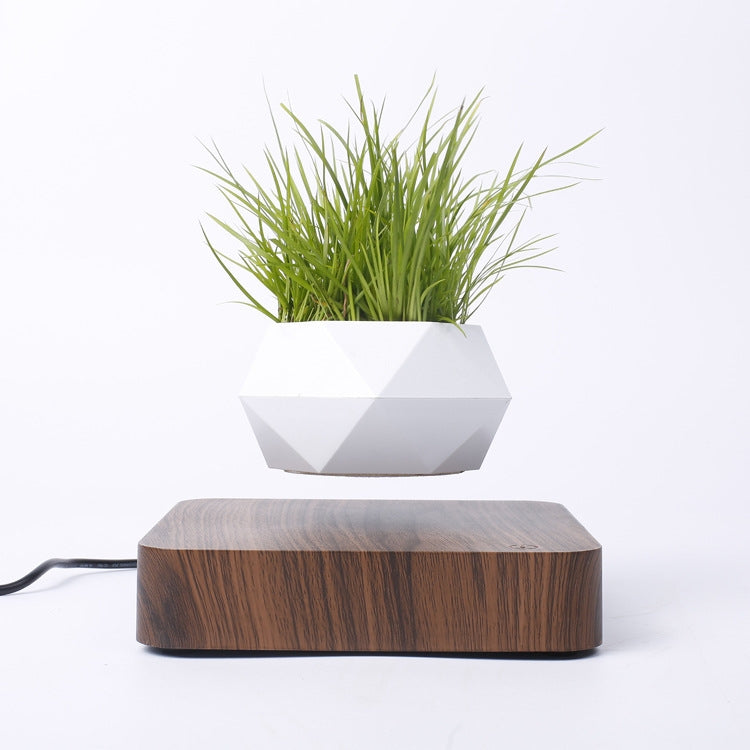 Vaso da fiori in plastica con diamante + Base con venature del legno scuro Decorazione per la casa con pianta in vaso a levitazione magnetica, spina americana, Dark Wood Grain US Plug, Light Wood Grain US Plug