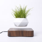 Vaso da fiori in plastica con diamante + Base con venature del legno scuro Decorazione per la casa con pianta in vaso a levitazione magnetica, spina europea, Dark Wood Grain EU Plug, Light Wood Grain EU Plug